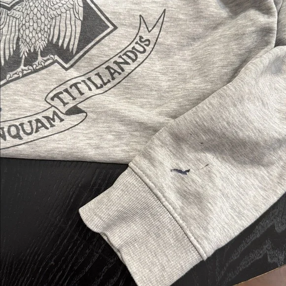 Zara Kids Hogwarts Crest Gray Hoodie - Picture 4 of 7